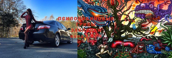 ПСИЛОЦИБИНОВЫЕ ГРИБЫ Касимов