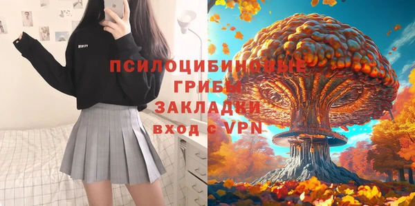 ПСИЛОЦИБИНОВЫЕ ГРИБЫ Касимов