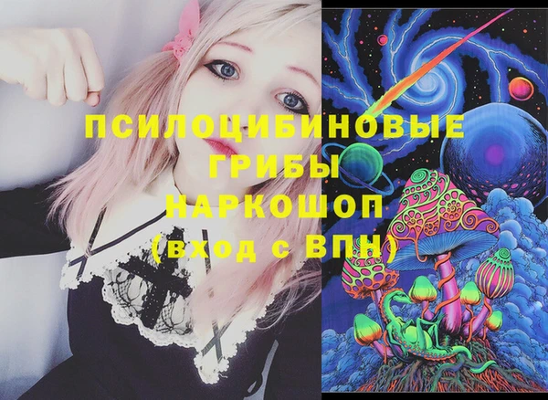 сатива Щигры