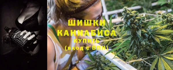 ПСИЛОЦИБИНОВЫЕ ГРИБЫ Касимов