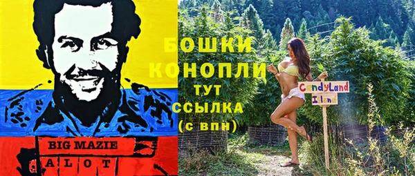 спайс Карпинск
