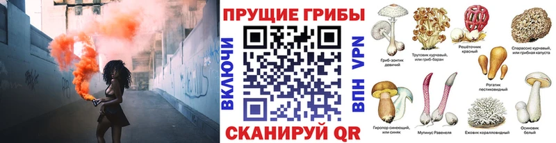 Галлюциногенные грибы прущие грибы  сколько стоит  Благовещенск 