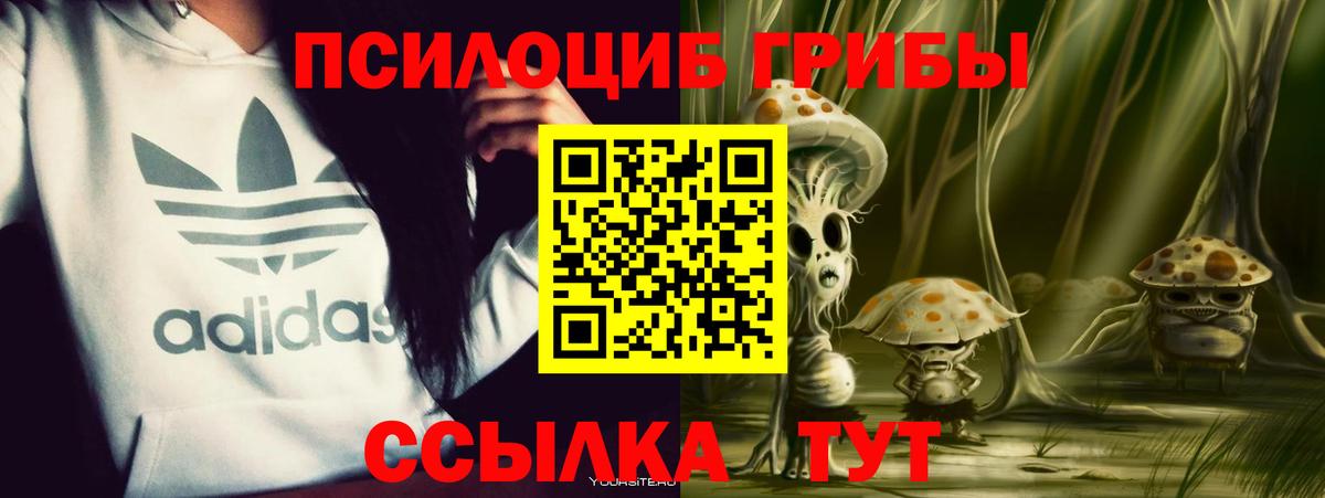 Псилоцибиновые грибы мицелий Благовещенск